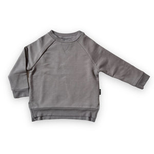 Toddler Boy Crewneck Sweatshirt Gray Front View